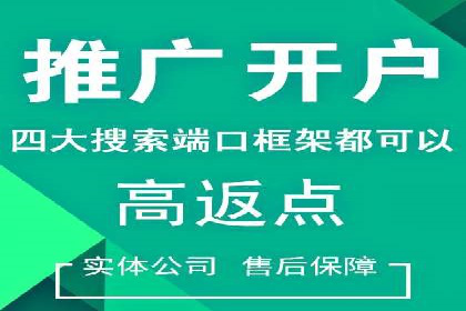 成功案例揭秘：如何有效进行SEM推广